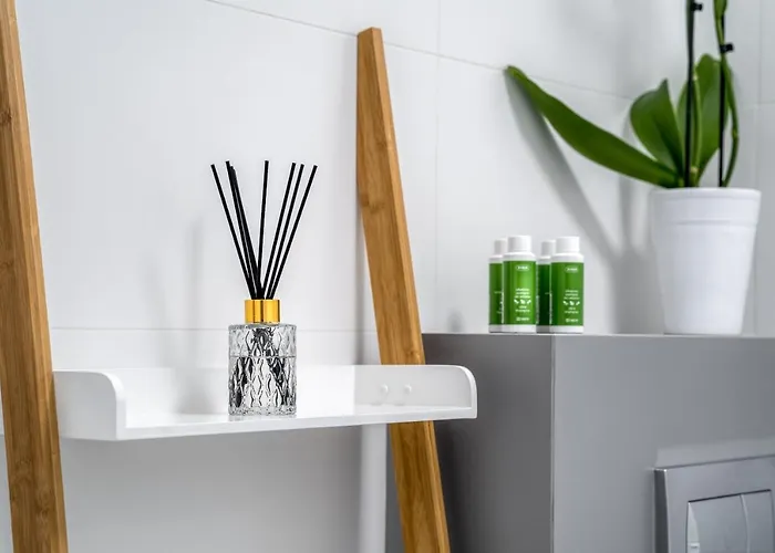 Flow Apartments Torun
